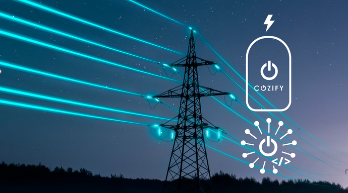 Cozify HAN, Interfaces and Their Importance in Energy Management